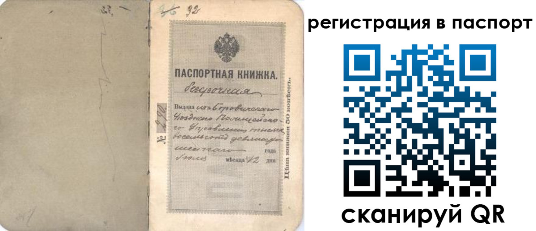 прописка гарантия в Сольцах